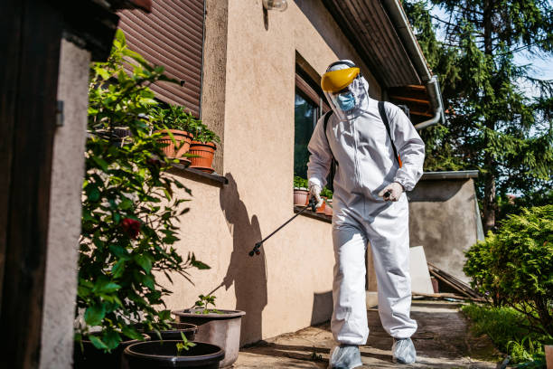 Wasp Removal Services in Christmas, FL